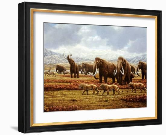 Woolly Mammoths-Mauricio Anton-Framed Photographic Print