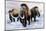 Woolly Mammoths-null-Mounted Photographic Print