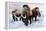 Woolly Mammoths-null-Framed Premier Image Canvas