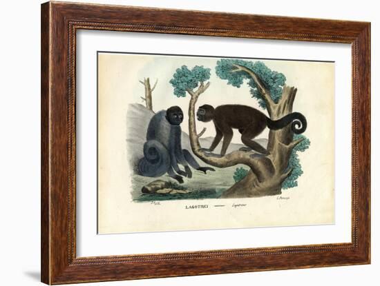 Woolly Monkey, 1863-79-Raimundo Petraroja-Framed Giclee Print