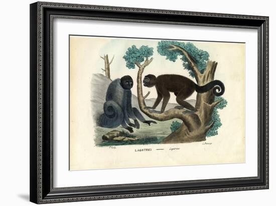 Woolly Monkey, 1863-79-Raimundo Petraroja-Framed Giclee Print