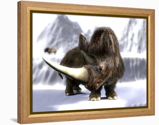 Woolly Rhinoceros-Christian Darkin-Framed Premier Image Canvas
