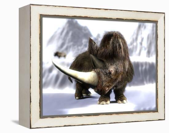 Woolly Rhinoceros-Christian Darkin-Framed Premier Image Canvas