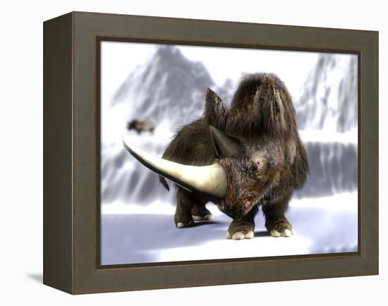 Woolly Rhinoceros-Christian Darkin-Framed Premier Image Canvas