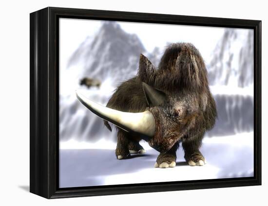 Woolly Rhinoceros-Christian Darkin-Framed Premier Image Canvas