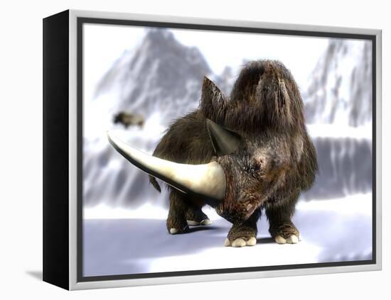 Woolly Rhinoceros-Christian Darkin-Framed Premier Image Canvas