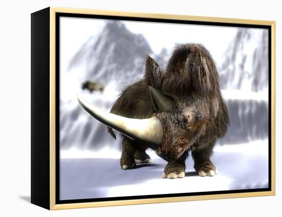 Woolly Rhinoceros-Christian Darkin-Framed Premier Image Canvas