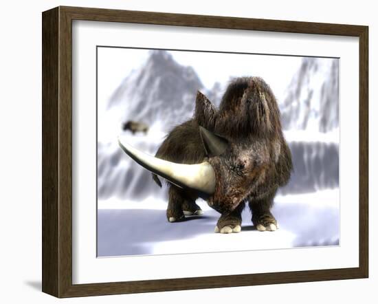 Woolly Rhinoceros-Christian Darkin-Framed Photographic Print