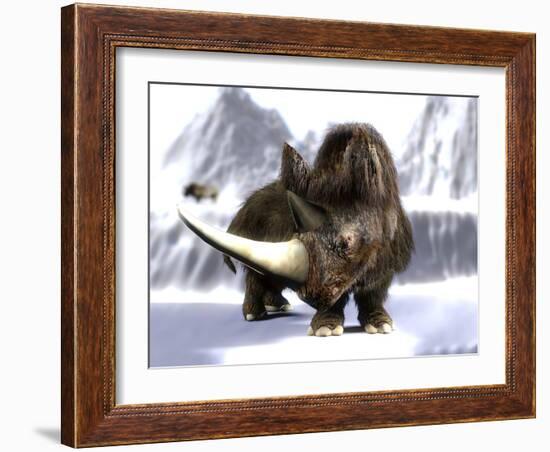 Woolly Rhinoceros-Christian Darkin-Framed Photographic Print