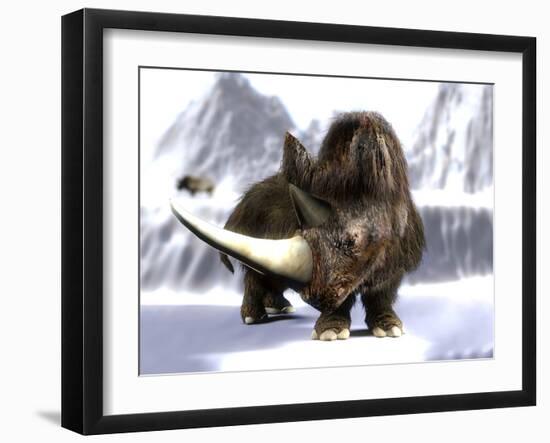 Woolly Rhinoceros-Christian Darkin-Framed Photographic Print