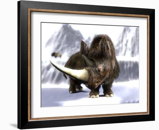 Woolly Rhinoceros-Christian Darkin-Framed Photographic Print