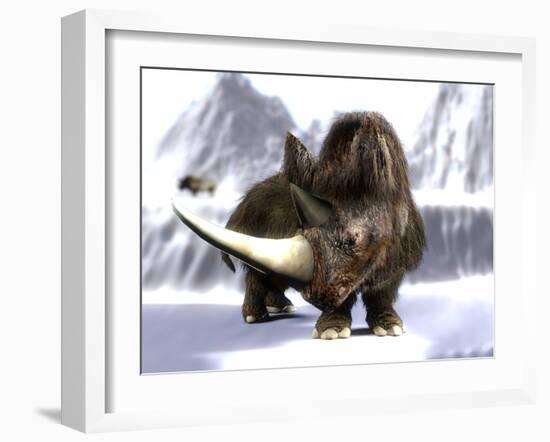 Woolly Rhinoceros-Christian Darkin-Framed Photographic Print