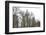 Woolworth Building from City Hall Park-Erin Clark-Framed Giclee Print