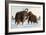 Wooly Mammoths-Lantern Press-Framed Premium Giclee Print