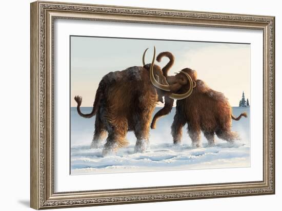 Wooly Mammoths-Lantern Press-Framed Art Print