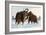 Wooly Mammoths-Lantern Press-Framed Art Print