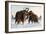 Wooly Mammoths-Lantern Press-Framed Art Print