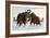 Wooly Mammoths-Lantern Press-Framed Art Print