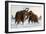 Wooly Mammoths-Lantern Press-Framed Art Print