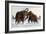 Wooly Mammoths-Lantern Press-Framed Art Print