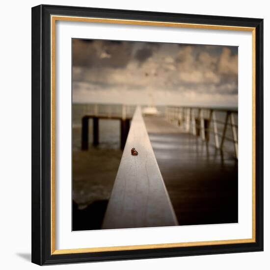 Woopie-Luis Beltran-Framed Photographic Print