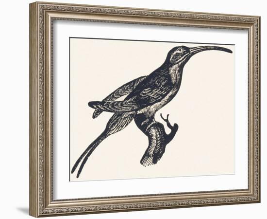 Worabee, 1850 (Engraving)-Louis Simon (1810-1870) Lassalle-Framed Giclee Print