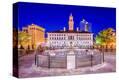 Stretched Canvas Print