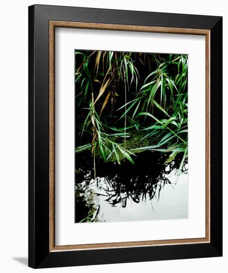 Wordbridge-Tim Kahane-Framed Photographic Print