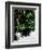 Wordbridge-Tim Kahane-Framed Photographic Print