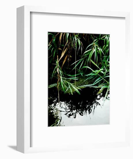 Wordbridge-Tim Kahane-Framed Photographic Print
