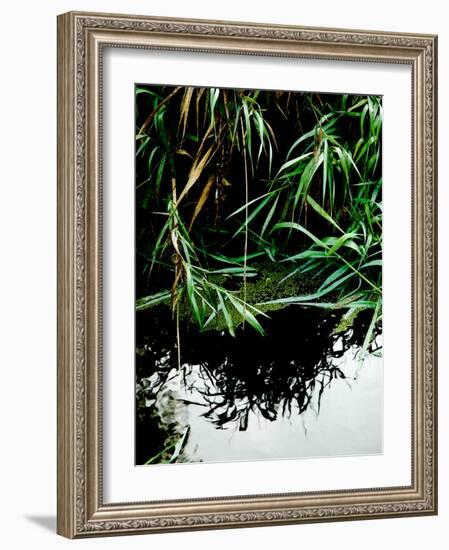 Wordbridge-Tim Kahane-Framed Photographic Print