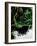 Wordbridge-Tim Kahane-Framed Photographic Print