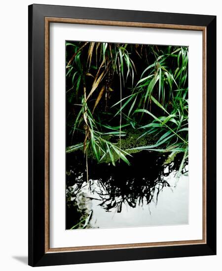 Wordbridge-Tim Kahane-Framed Photographic Print