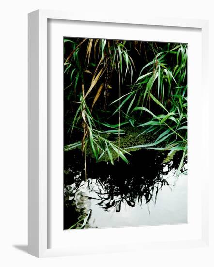 Wordbridge-Tim Kahane-Framed Photographic Print