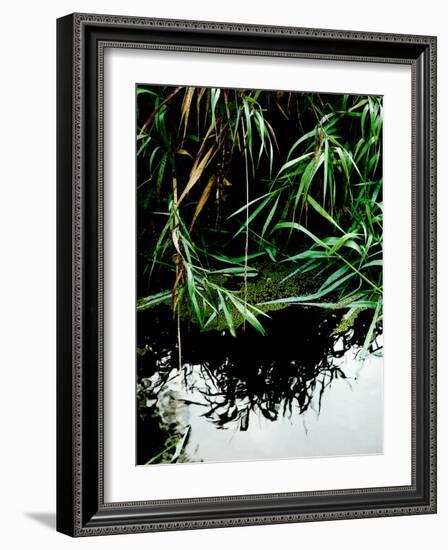 Wordbridge-Tim Kahane-Framed Photographic Print