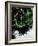 Wordbridge-Tim Kahane-Framed Photographic Print