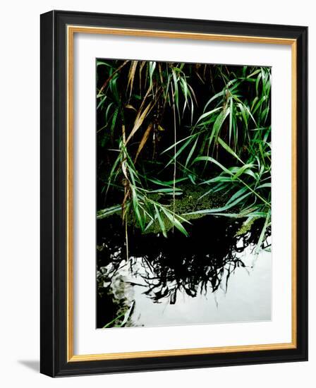 Wordbridge-Tim Kahane-Framed Photographic Print