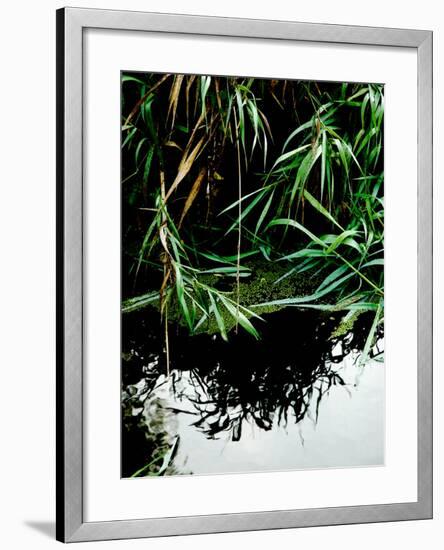 Wordbridge-Tim Kahane-Framed Photographic Print