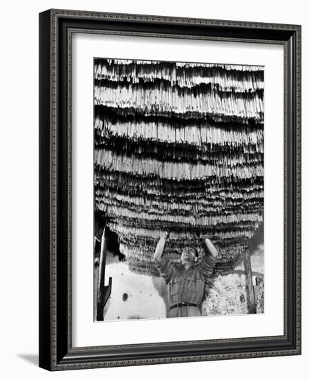 Worker at Pasta Factory Inspecting Spaghetti in Drying Room-Alfred Eisenstaedt-Framed Photographic Print