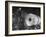 Worker Cutting the Gun Casting in the Bethlehem Steel Factory-Dmitri Kessel-Framed Photographic Print