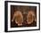 Worker from the Plantation 'Roca Nova Moka' in Sao Tomé Holds Some Coffee Beans-Camilla Watson-Framed Photographic Print