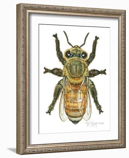 Worker Honey Bee-Tim Knepp-Framed Giclee Print