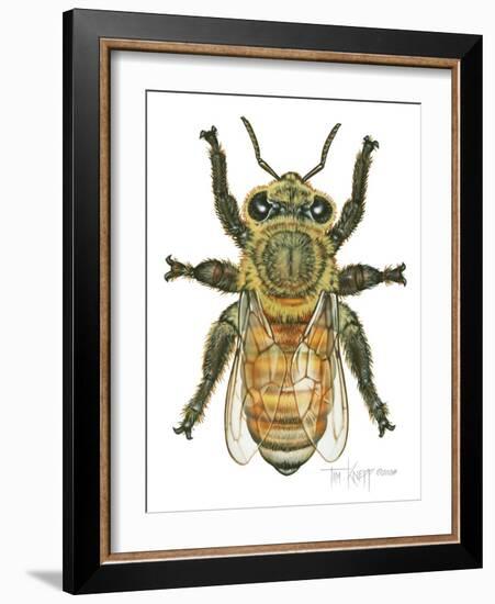 Worker Honey Bee-Tim Knepp-Framed Giclee Print