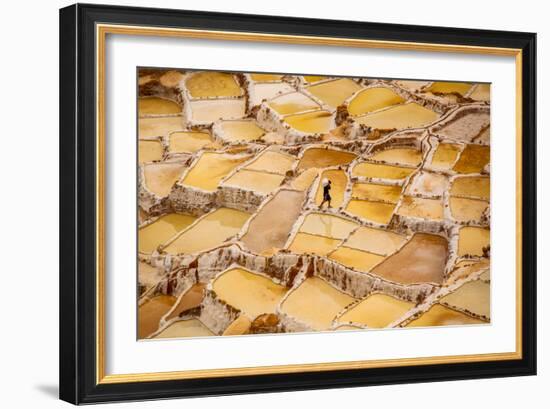 Worker Mining for Salt, Salineras De Maras, Maras Salt Flats, Sacred Valley, Peru, South America-Laura Grier-Framed Photographic Print