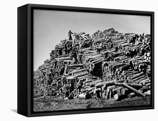 Worker on Top of Pile of Pine Logs Outside Union Bag and Paper Co.-Margaret Bourke-White-Framed Premier Image Canvas