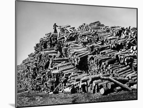 Worker on Top of Pile of Pine Logs Outside Union Bag and Paper Co.-Margaret Bourke-White-Mounted Photographic Print