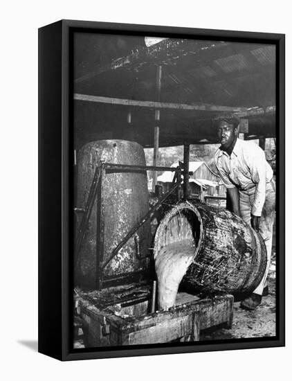 Worker Pouring Gum from Pine Trees into a Still During Turpentine Production-Hansel Mieth-Framed Premier Image Canvas