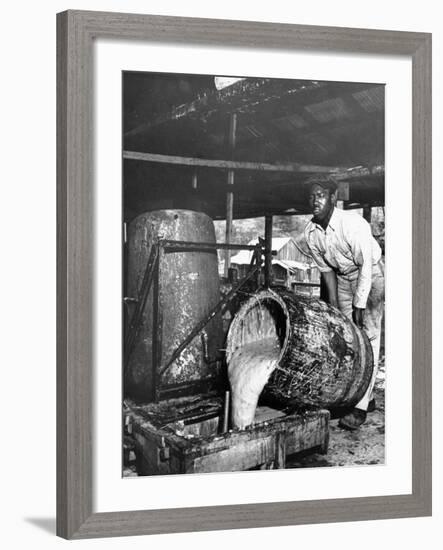 Worker Pouring Gum from Pine Trees into a Still During Turpentine Production-Hansel Mieth-Framed Premium Photographic Print