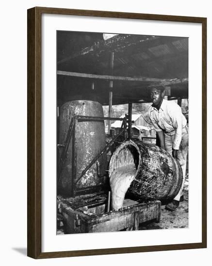 Worker Pouring Gum from Pine Trees into a Still During Turpentine Production-Hansel Mieth-Framed Premium Photographic Print