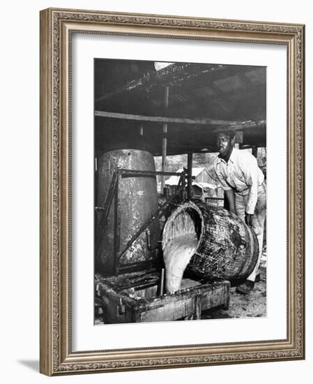 Worker Pouring Gum from Pine Trees into a Still During Turpentine Production-Hansel Mieth-Framed Photographic Print